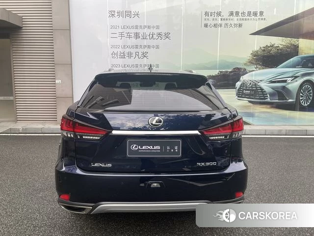 Lexus RX id 4353820 из Китая 8