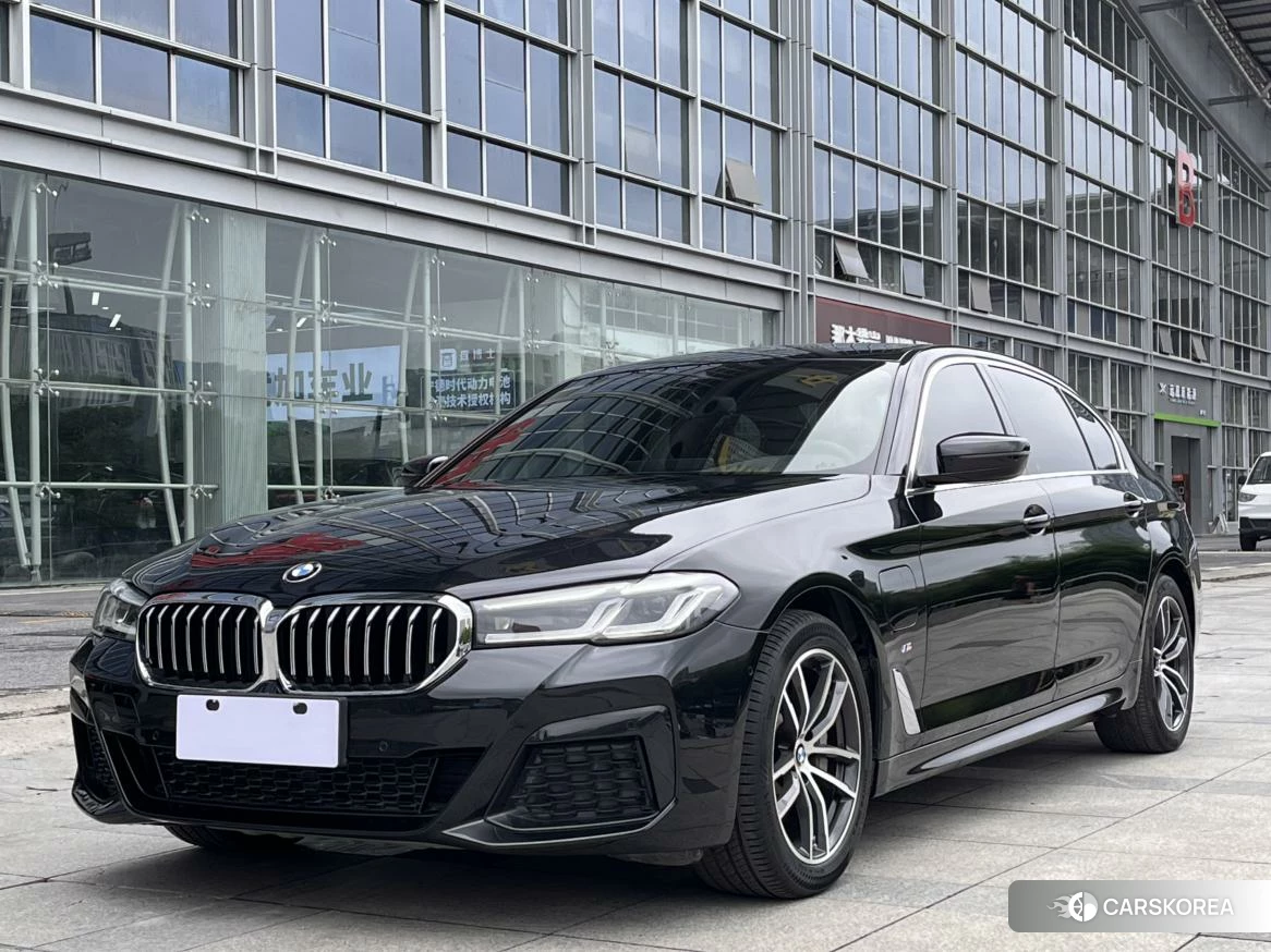 BMW 5 series PHEV id 4454143 из Китая 8