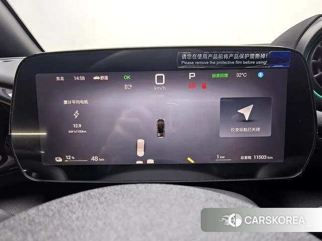 BYD dolphin id 3957663 из Китая 8