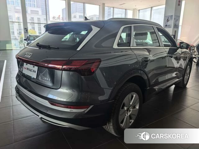 Audi e-tron id 3920664 из Китая 8