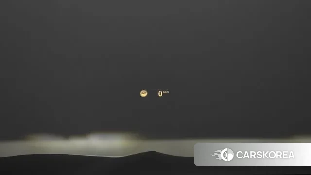 BMW X4 (G02) id 3439215 из Кореи 8