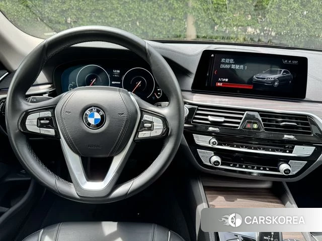 BMW 5 series PHEV id 4208440 из Китая 8