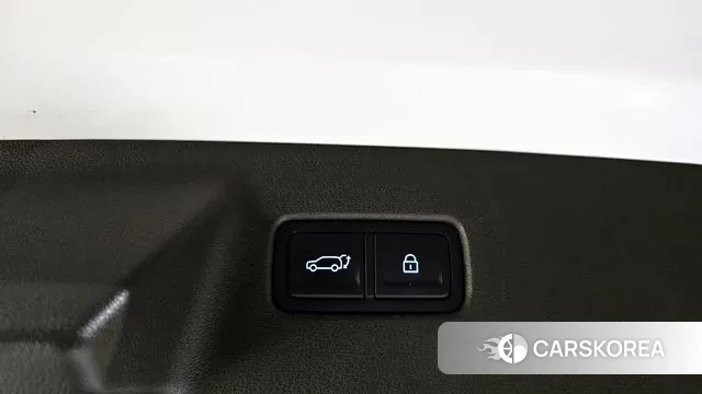 Hyundai Santa Fe (MX5) id 3365766 из Кореи 8