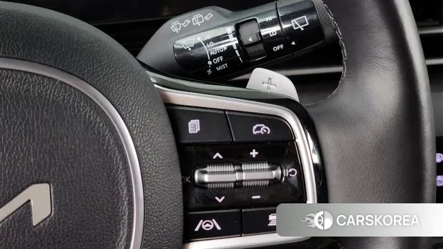 Kia The New Carnival 4th Generation id 3031531 из Кореи 8