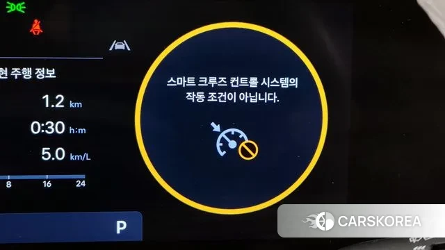 Hyundai Santa Fe (MX5) id 3517822 из Кореи 8