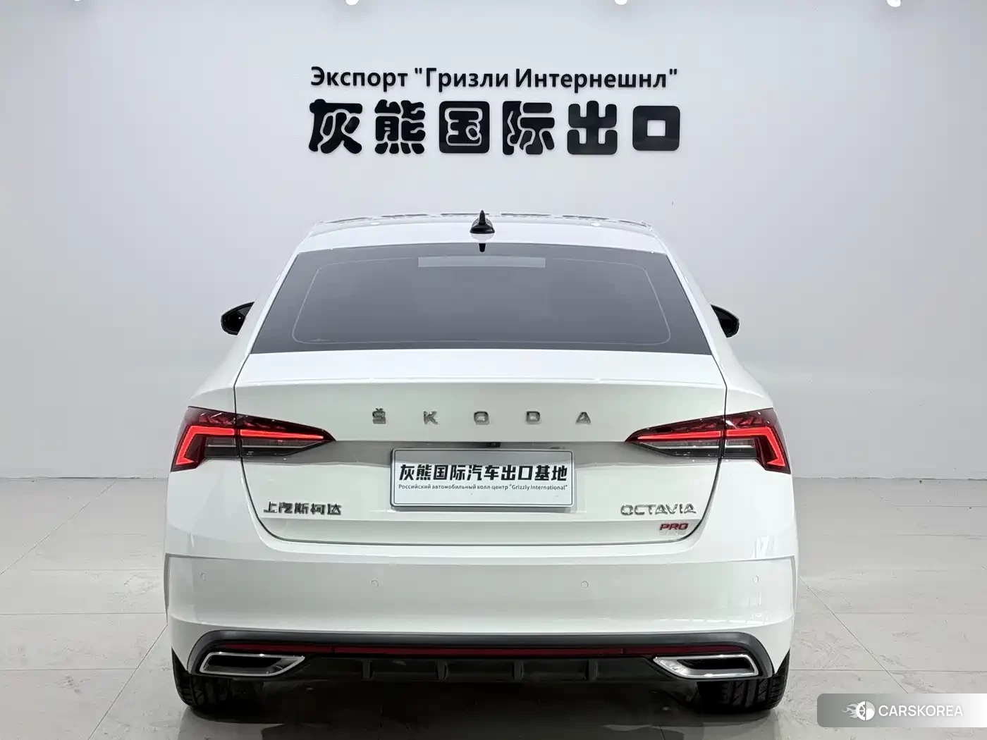 Skoda Octavia id 4600453 из Китая 8