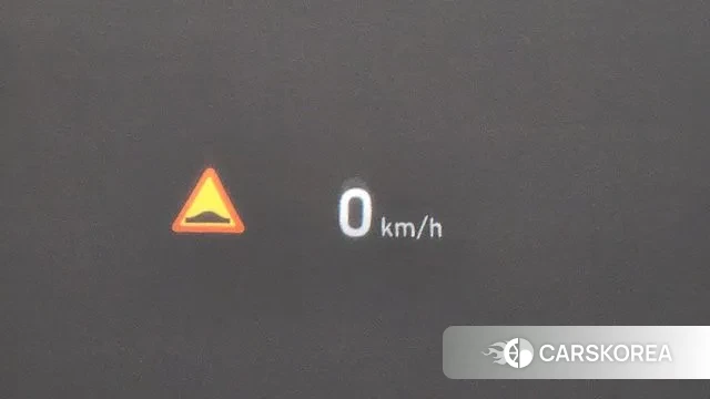 Genesis G80 id 3718650 из Кореи 8