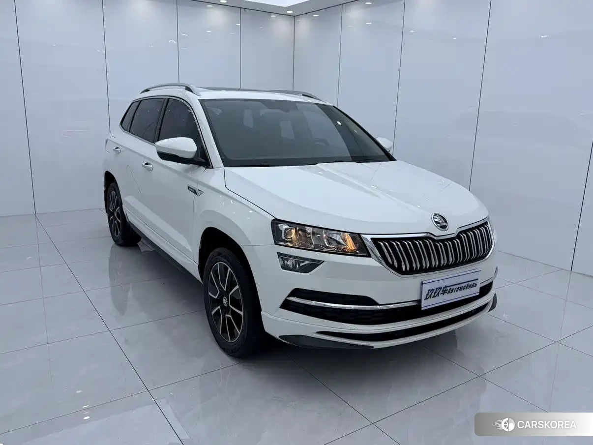 Skoda Karoq id 4583799 из Китая 8