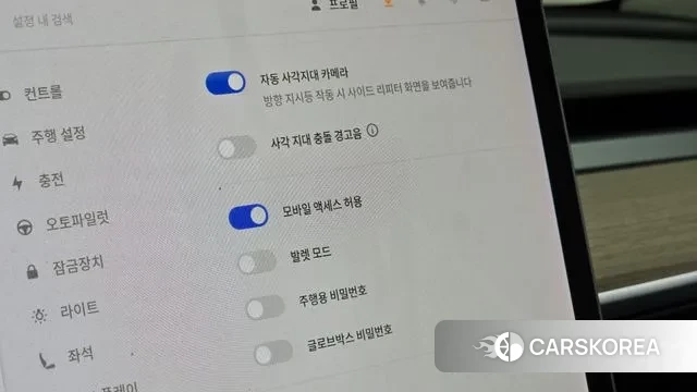 Tesla Model 3 id 3389863 из Кореи 8