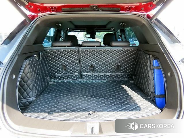 Chevrolet (GM Daewoo) Trailblazer id 3924362 из Кореи 8