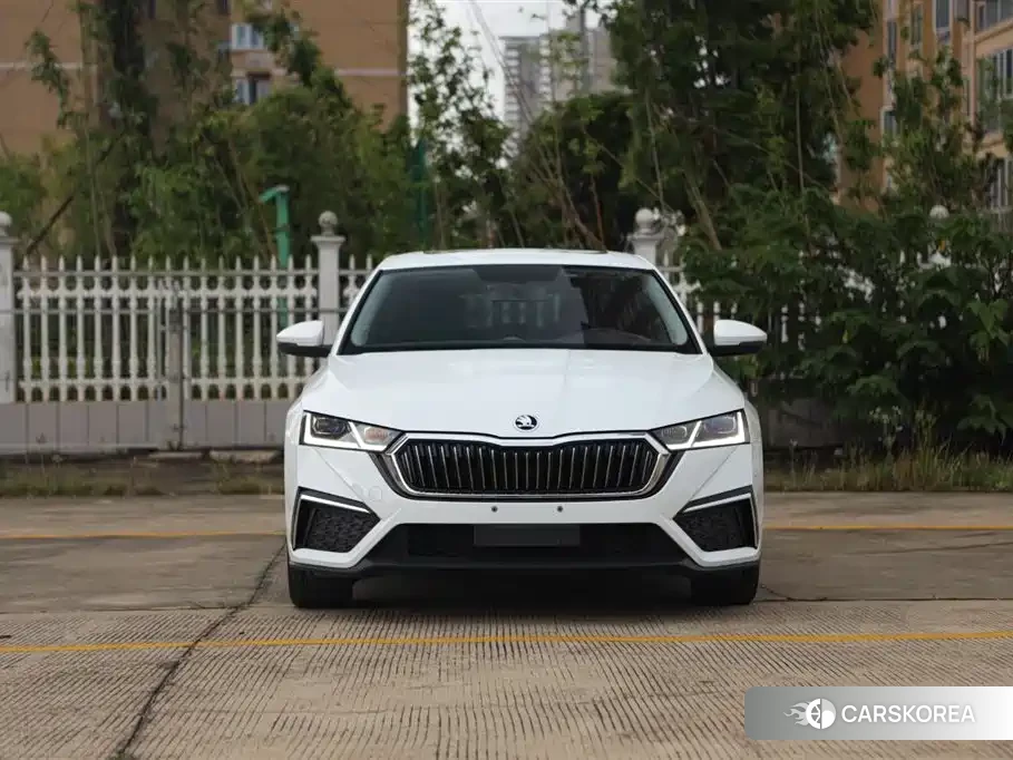 Skoda Octavia id 4589227 из Китая 8