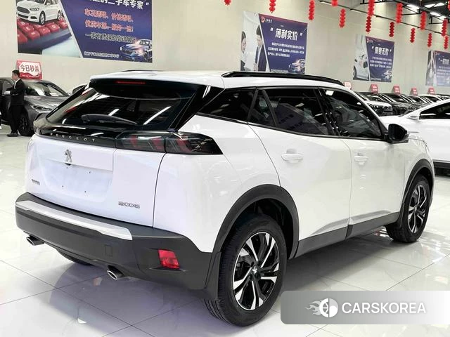 Peugeot 2008 id 4207453 из Китая 8