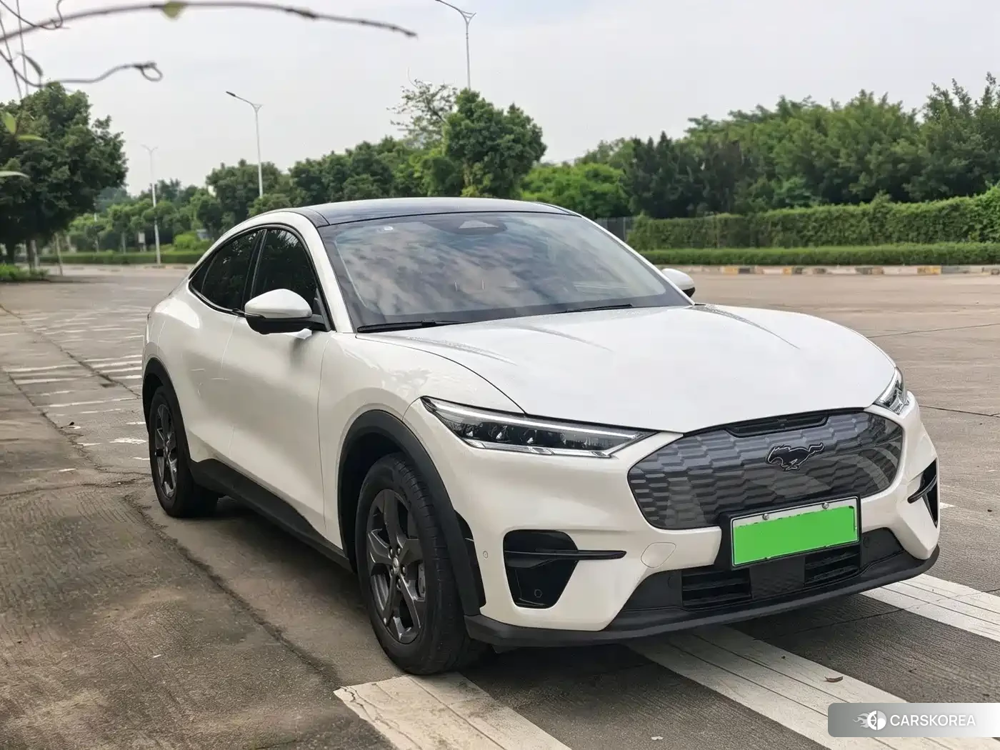 Ford Electric horse id 4686014 из Китая 8