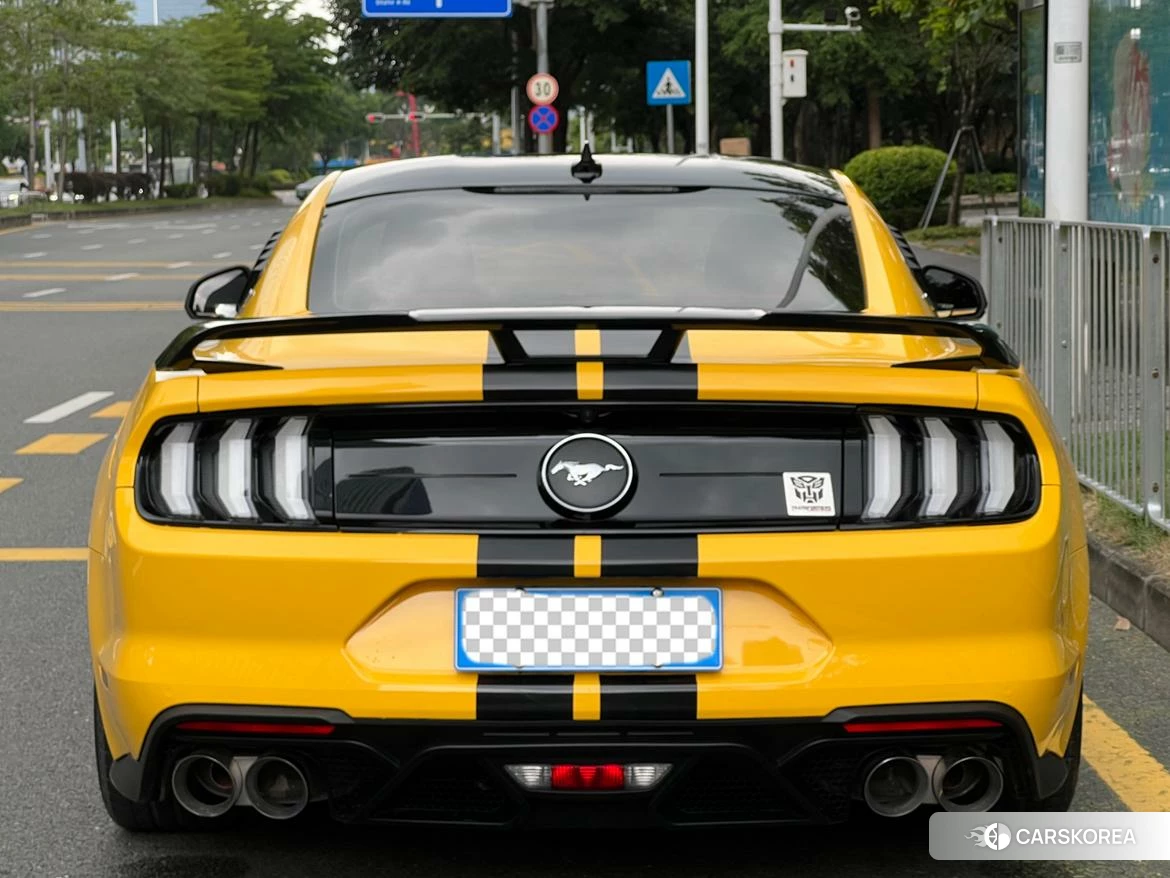 Ford Mustang id 4453154 из Китая 8
