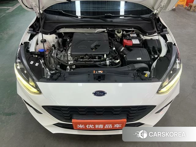 Ford Fox id 4211145 из Китая 8