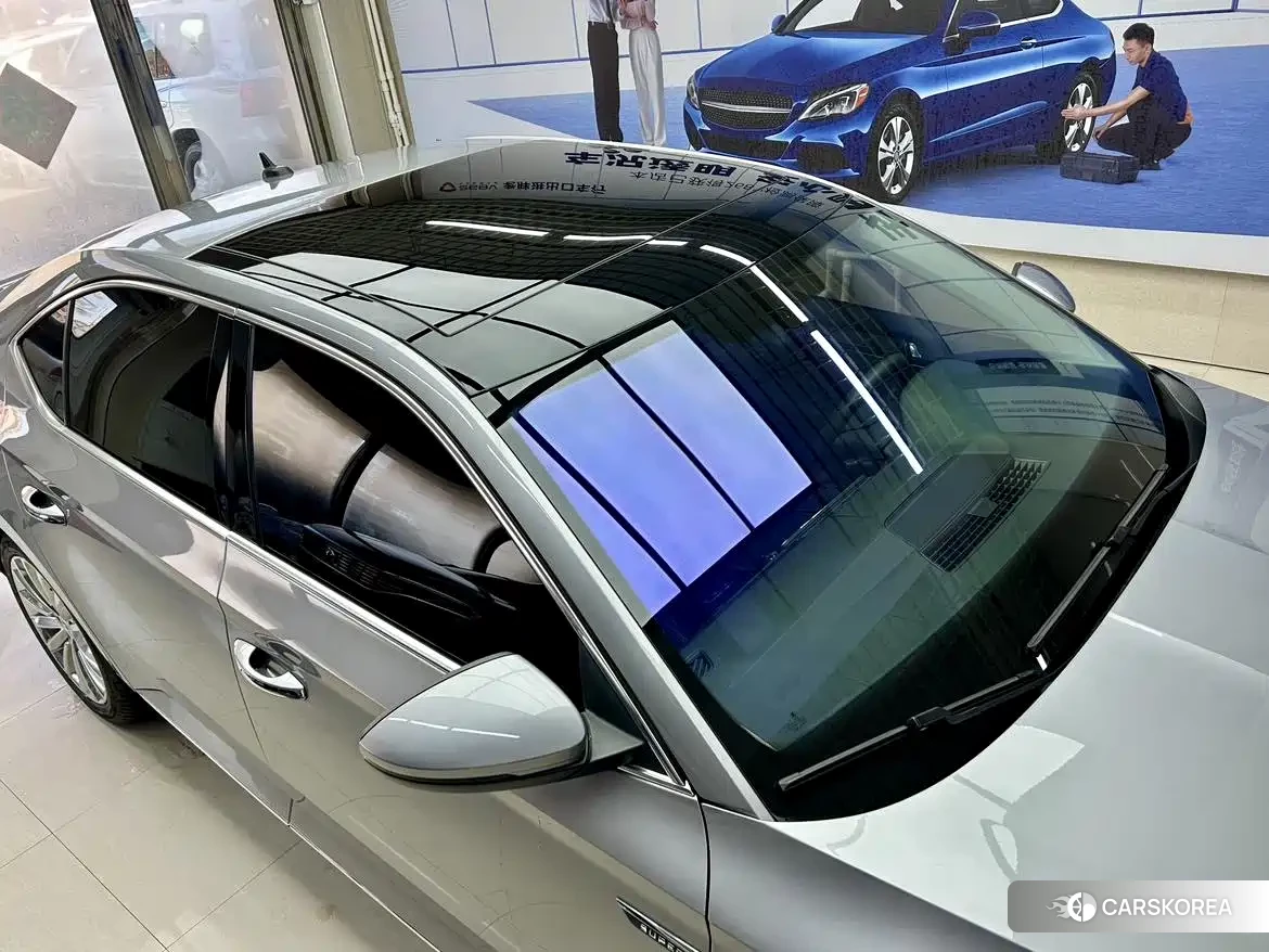 Skoda Speed pie id 4577624 из Китая 8