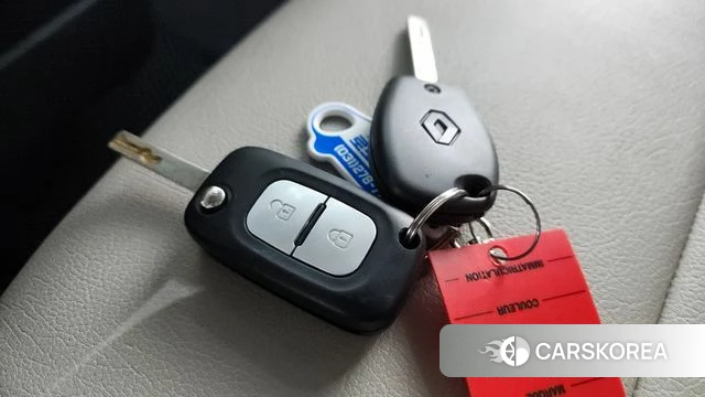 Renault Korea (Samsung) Master id 4250907 из Кореи 8