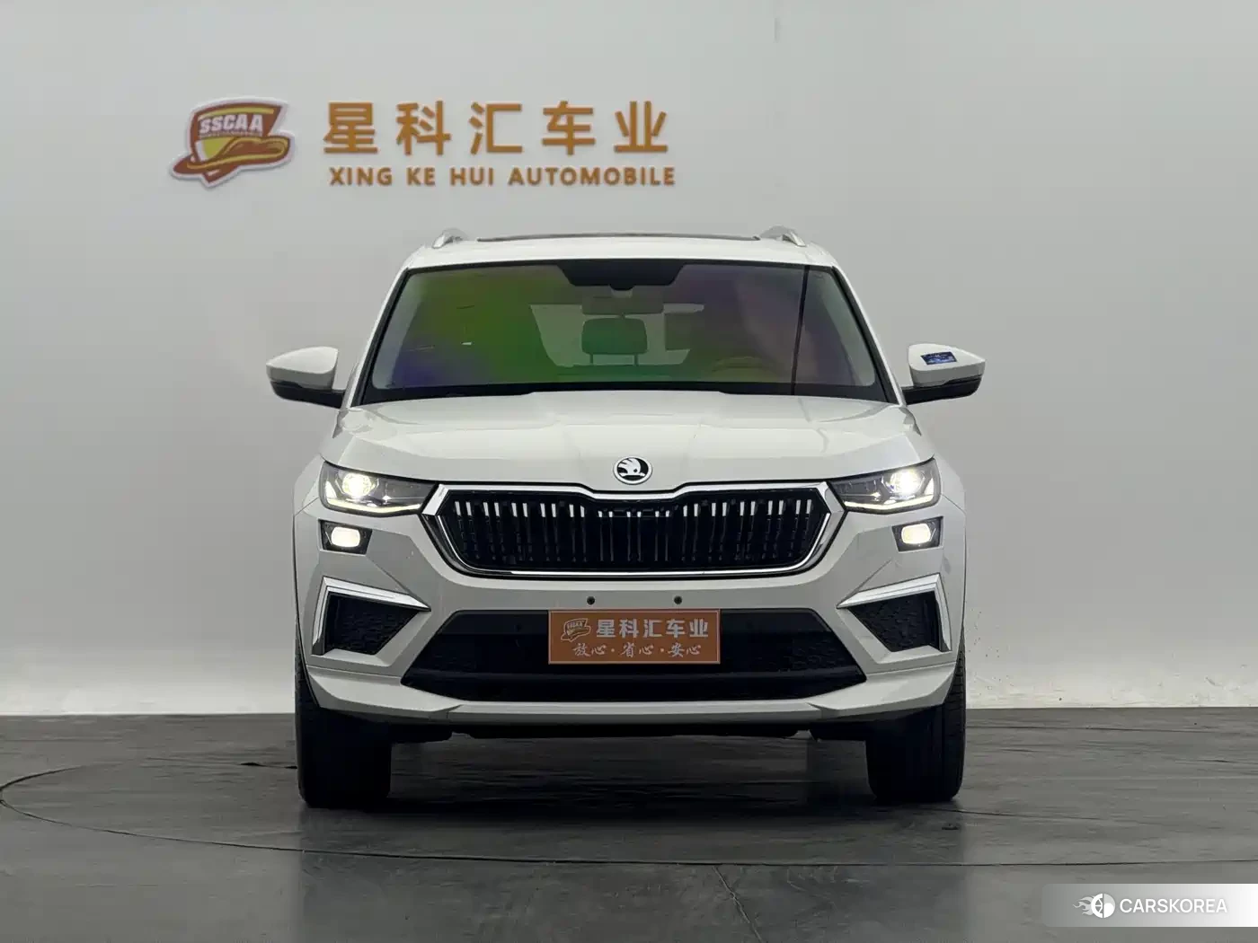 Skoda Kodiak id 4546503 из Китая 8