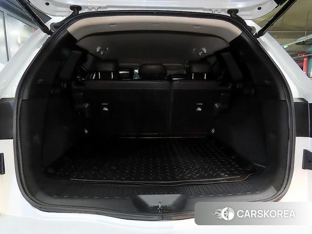 Renault Korea (Samsung) The New QM6 id 4881896 из Кореи 8