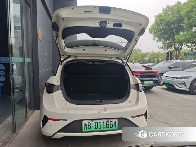 BYD dolphin id 4205755 из Китая 8