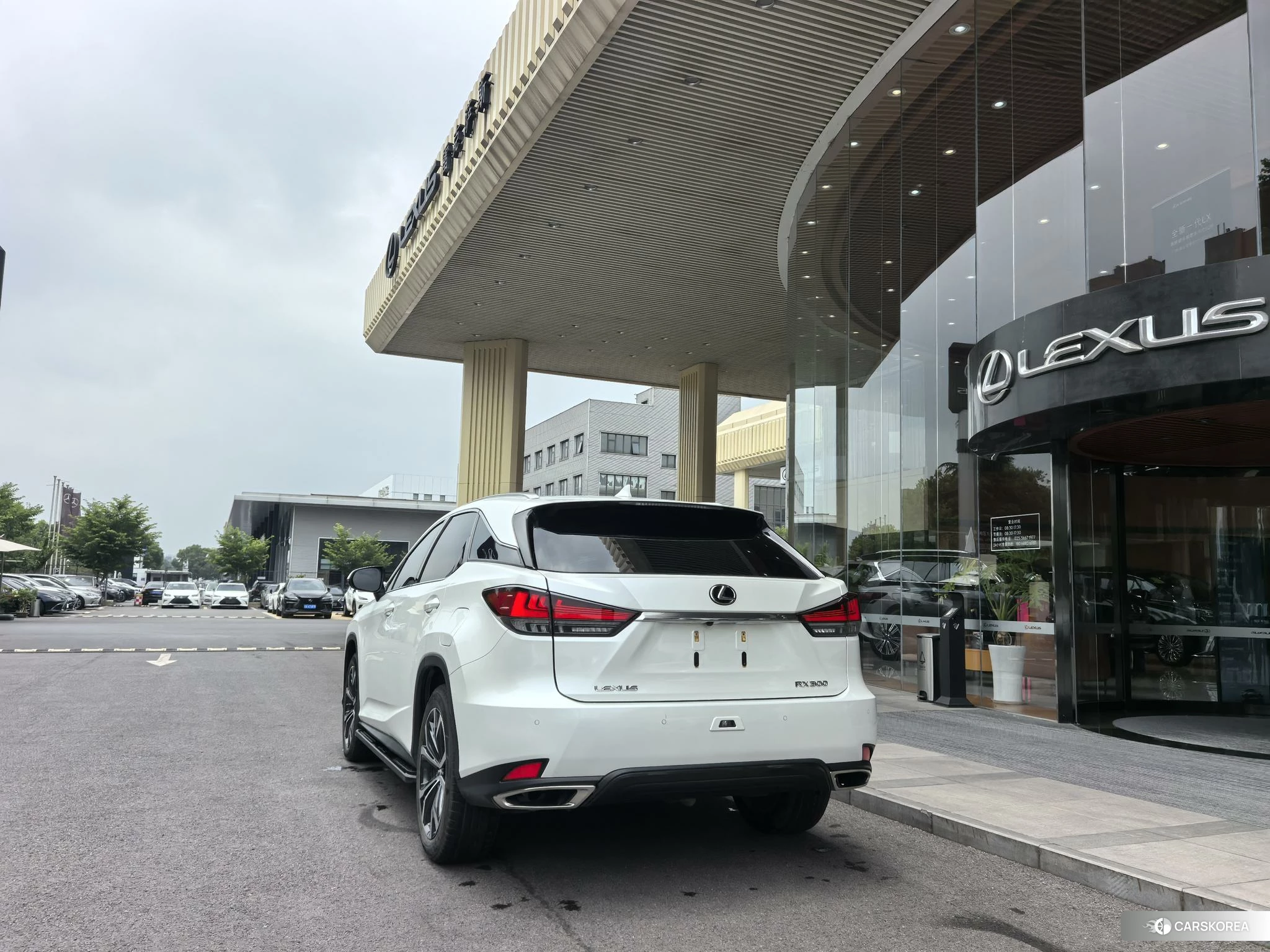 Lexus RX id 4461975 из Китая 8