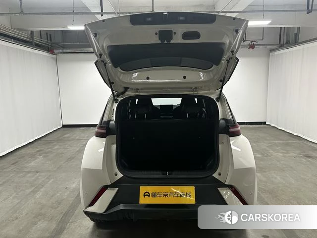 BYD Seagull id 4217467 из Китая 8