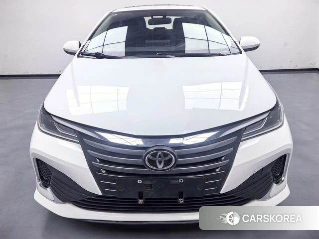 Toyota Asian lion id 4274425 из Китая 8