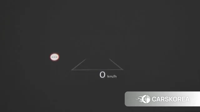 Hyundai Santa Fe (MX5) id 3420431 из Кореи 8