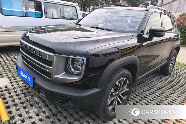Haval Big dog id 4241987 из Китая 8