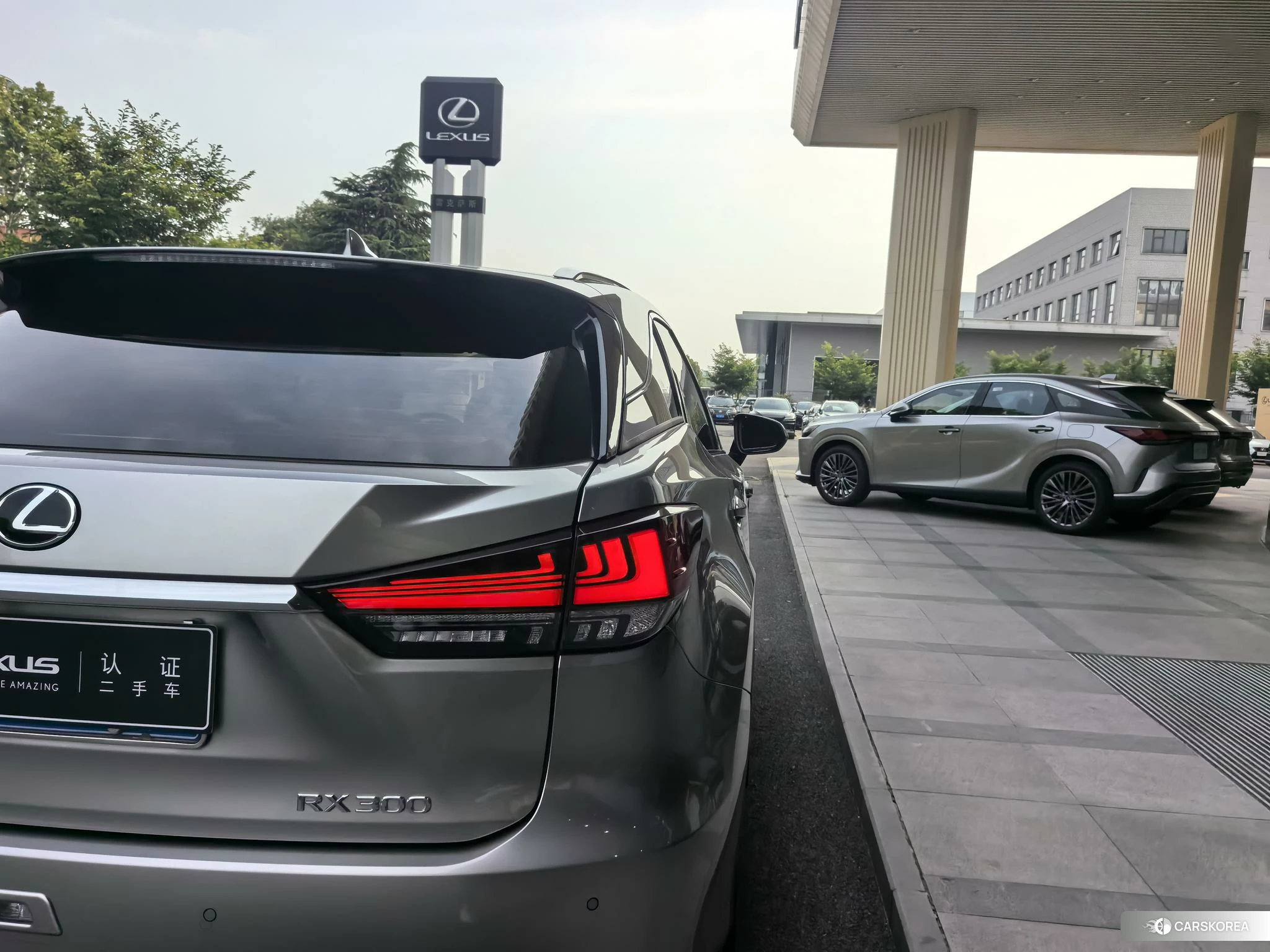 Lexus RX id 4441014 из Китая 8