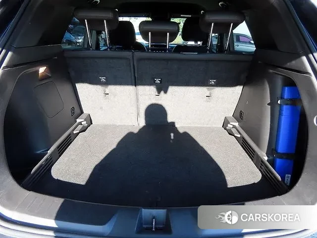 Chevrolet (GM Daewoo) Trailblazer id 3503450 из Кореи 8