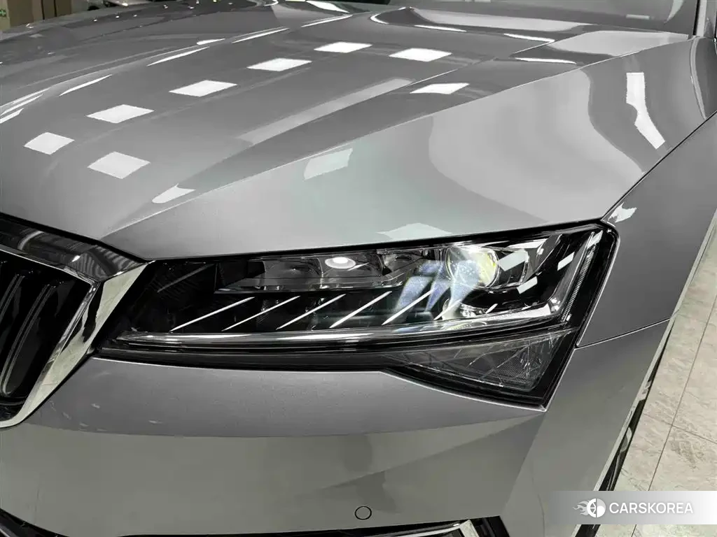 Skoda Speed pie id 4515552 из Китая 8