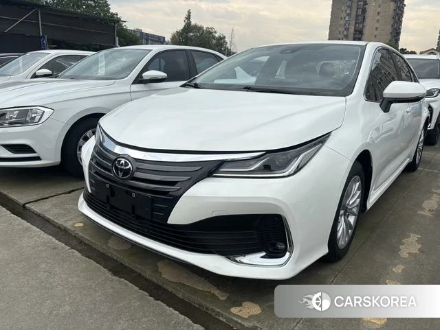 Toyota Asian lion id 4307446 из Китая 8