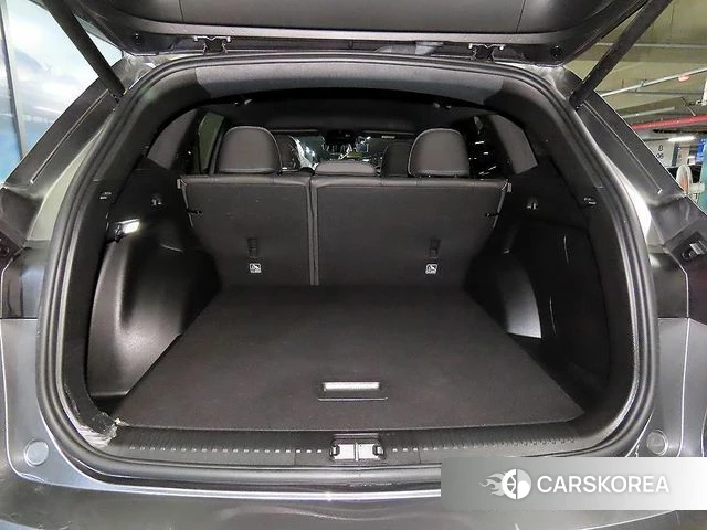 Renault Korea (Samsung) Grand Coleos id 4408020 из Кореи 8