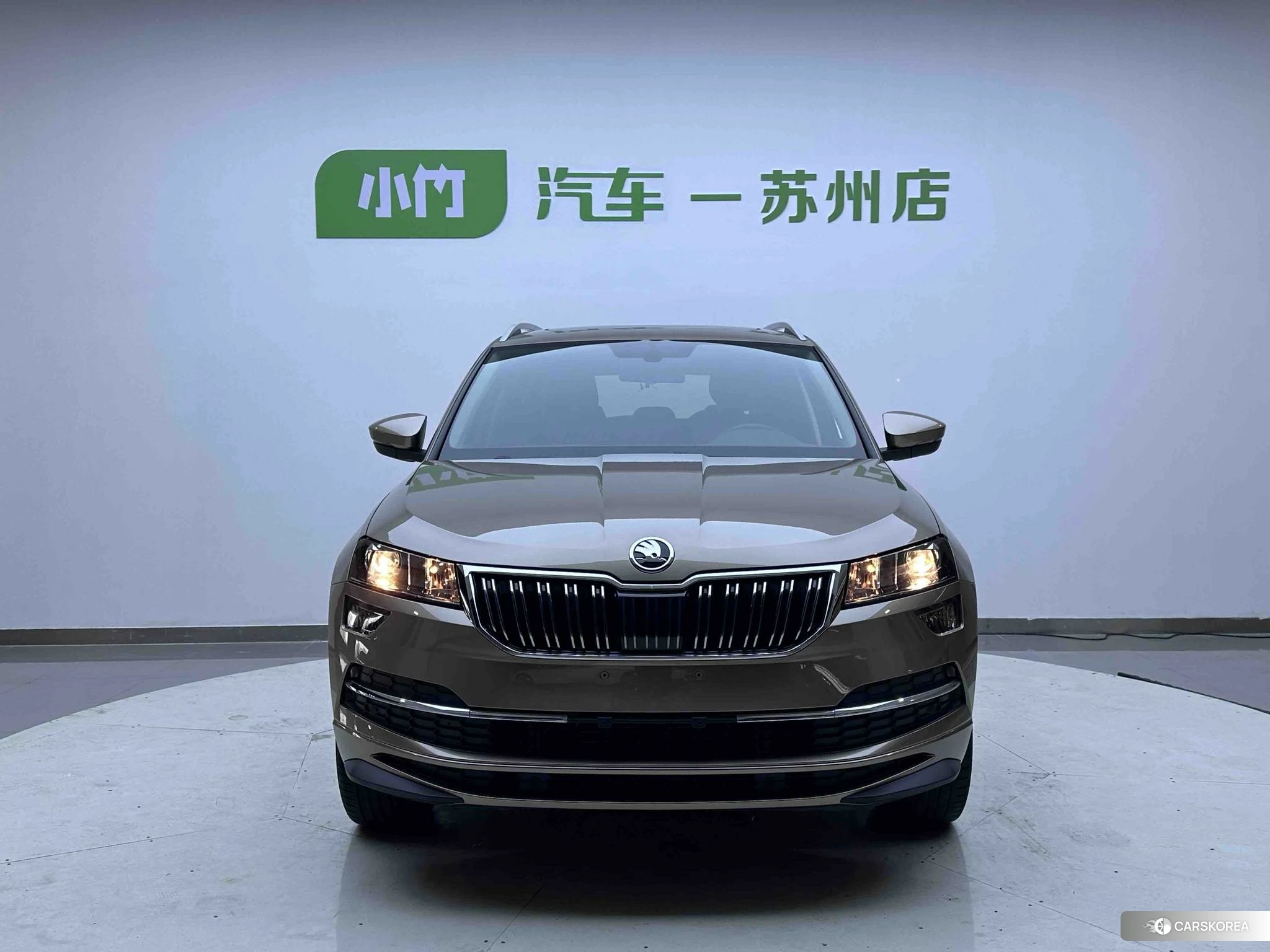 Skoda Krok id 4492871 из Китая 8