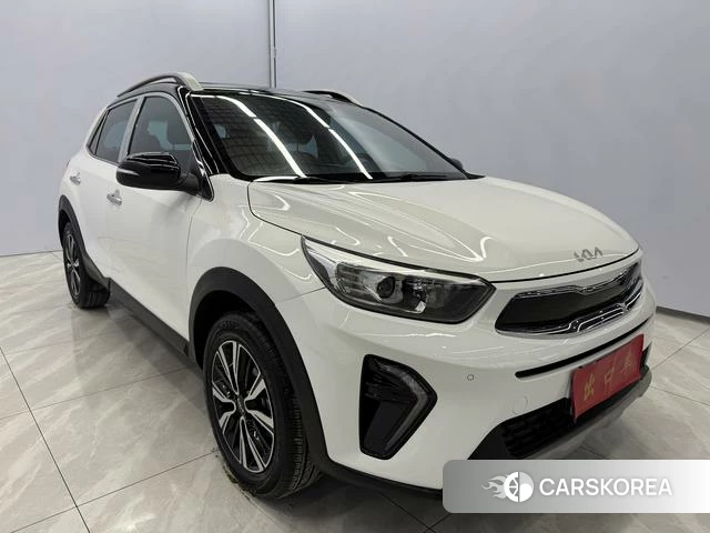 Kia Yi Ran id 4333840 из Китая 8