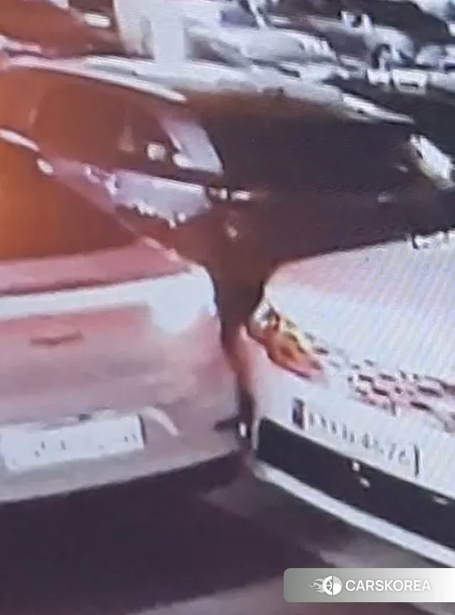 Land Rover Range Rover Sport 2nd Generation id 3645893 из Кореи 8