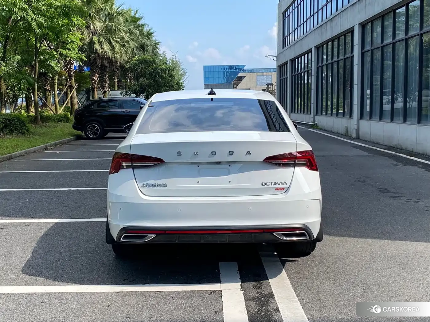 Skoda Octavia id 4538654 из Китая 8