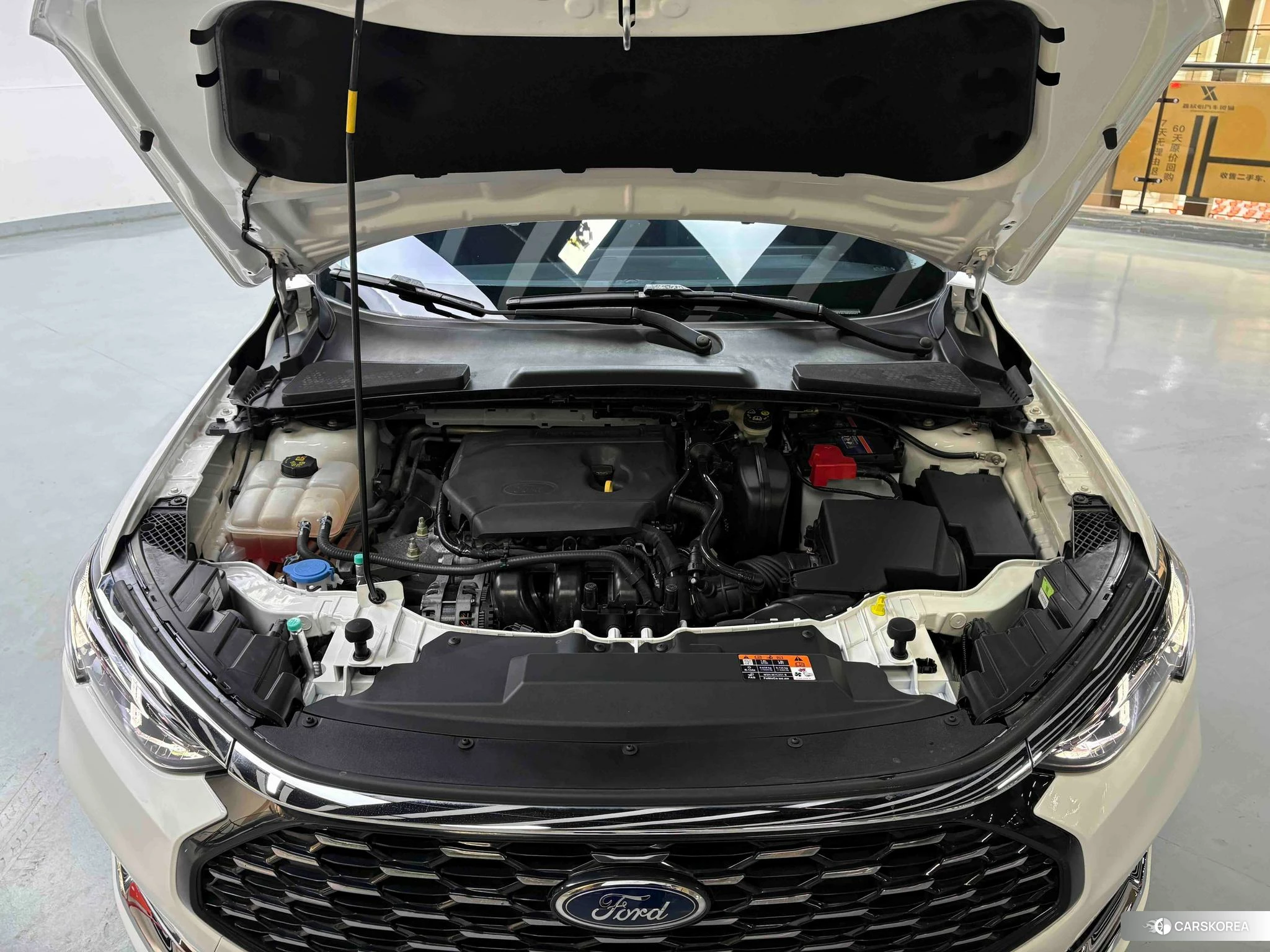 Ford Forrest id 4513942 из Китая 8