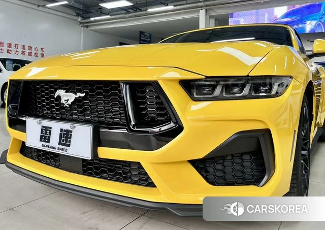 Ford Mustang id 4209132 из Китая 8