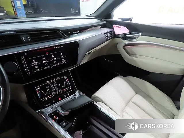 Audi e-Tron id 3367716 из Кореи 8