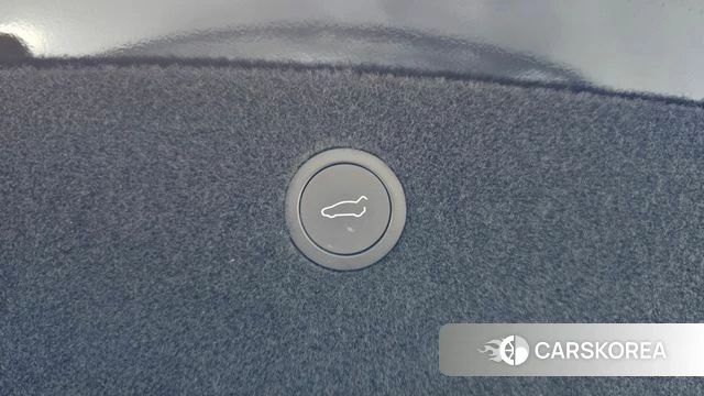 Tesla Model X id 4349572 из Кореи 8