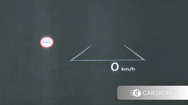 Hyundai Santa Fe (MX5) id 3447017 из Кореи 8