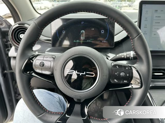 BYD e2 id 4239108 из Китая 8
