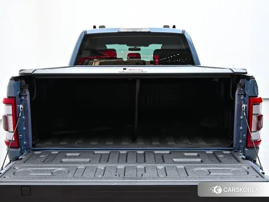 Ford F-150 Raptor id 4545975 из Китая 8