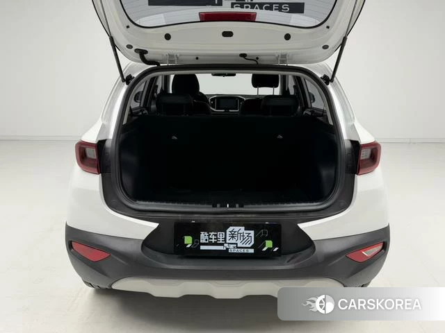 Kia Yi Ran id 4276095 из Китая 8