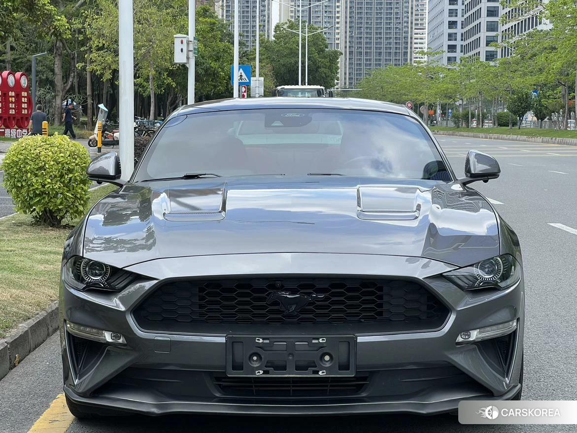 Ford Mustang id 4485530 из Китая 8