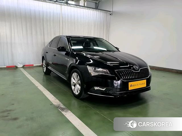 Skoda Speed pie id 4211522 из Китая 8