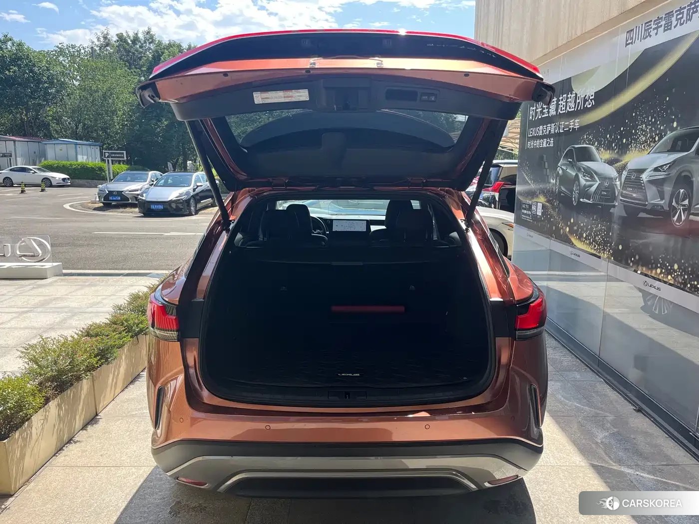 Lexus RX New Energy id 4553816 из Китая 8