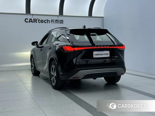 Lexus RX id 3920388 из Китая 8